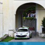 Rally 1000 Miglia 2017 - Domenico Erbetta
