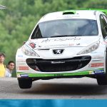 Rally 1000 Miglia 2017 - Domenico Erbetta