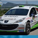 Rally 1000 Miglia 2017 - Domenico Erbetta