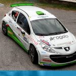 Rally 1000 Miglia 2017 - Domenico Erbetta
