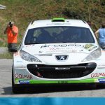 Rally della Marca 2017 - Domenico Erbetta