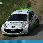 Rally della Marca 2017 - Domenico Erbetta