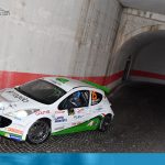 Rally del Friuli Venezia Giulia 2017 - Domenico Erbetta