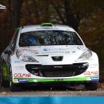 Rally Trofeo ACI Como 2017 - Domenico Erbetta