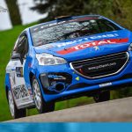 Rally del Grifo 2018 - Michele Griso