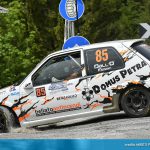 Dolomiti Rally 2019 - Stefano Dall'Ò