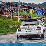 Rally del Friuli Venezia Giulia 2018 - Domenico Erbetta