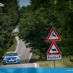 Rally della Marca 2018 - Luca Danese